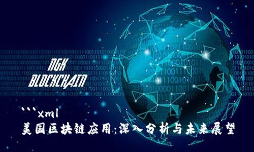 ```xml
美国区块链应用：深入分析与未来展望
