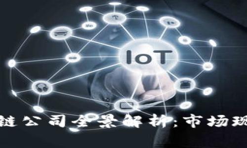 常州豪宅区块链公司全景解析：市场现状与未来趋势